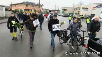 Vigneux-sur-Seine : une marche blanche pour rendre hommage à Valérie, une cycliste écrasée par un camion - Le Parisien
