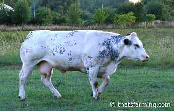 The BEAM: 10,500 farmers within alternative reduction period - Thats Farming