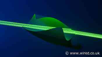 Upside Foods Sues an Ex-Employee Over Secret Lab-Grown Meat Tech