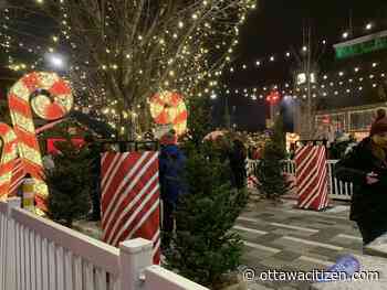 Weather: Mix of sun and cloud, 5 C Monday, rain or freezing rain returns mid-week