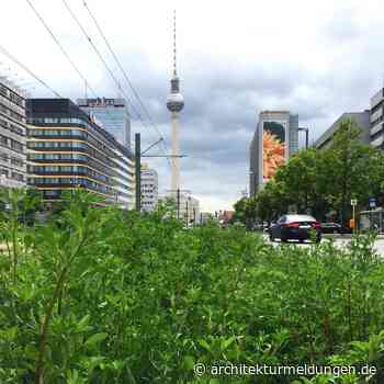 Berlin: Offener Brief zum Auswahlverfahren für eine:n neuen Senatsbaudirektor:in
