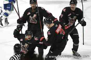 Warriors take win over Swift Current on Teddy Bear Toss night - moosejawtoday.com