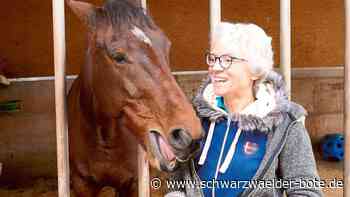 Coaching in Ettmannsweiler: Pferde halten Antworten bereit