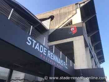 Stade rennais - Nice : la malédiction des dauphins - Stade Rennais Online