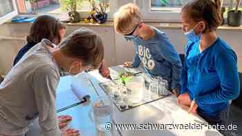 Zellerschule Nagold: Feuer und Flamme für den Sachunterricht