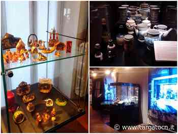 Natale al Museo Civico di Cuneo con tante novità - TargatoCn.it