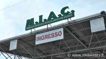 Accordo di collaborazione fra MIAC di Cuneo e Politecnico di Torino - IdeaWebTv