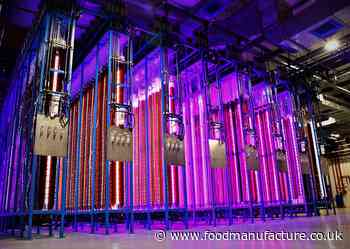 Microalgae makes plant-based burgers ‘bleed’