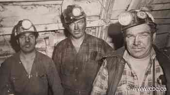 Coal mining near Sparwood, B.C. faces uncertain future