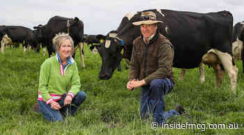 Woolworths to offer $5 million in dairy innovation grants - Inside FMCG