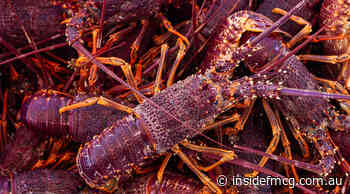 Four regional agri-food clusters win $600,000 in FIAL funding - Inside FMCG