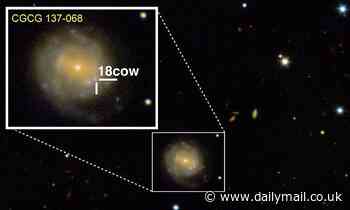 Mysterious explosion dubbed 'The Cow' was likely a dying star giving birth to a black hole