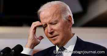 Conservatives Will Howl Laughing When They Meet the 'Doctor' Who Claims Biden Is Mentally Fit