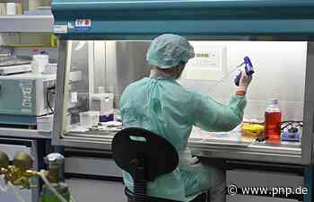 Sieben-Tage-Inzidenz in der Stadt Passau bei 284,3 - Passau - Passauer Neue Presse