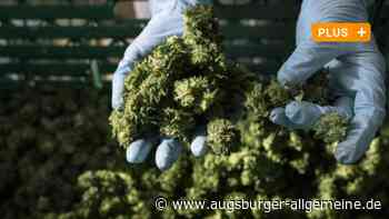 Das sagen Experten aus der Region zur geplanten Cannabis-Legalisierung
