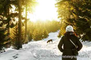 Most picturesque UK dog-walking trails revealed – see the list