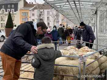 Farmer City : beaucoup de monde dans les rues d'Epinal - Epinal infos - Epinal Infos