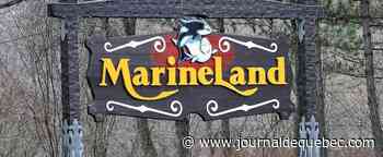 Une accusation déposée contre le parc Marineland à Niagara