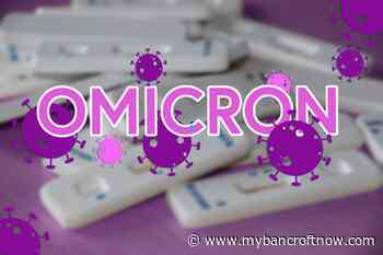 Canada in early stages of Omicron community transmission says Dr. Tam