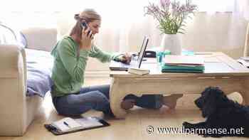 CGIL Parma, il rapporto sul lavoro: “Aumentano infortuni sul lavoro e disoccupazione femminile” - Luca Galvani