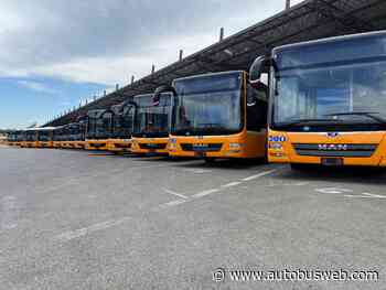 Tep Parma, aperta selezione pubblica per conducenti. Domande entro il 16 gennaio - autobusweb