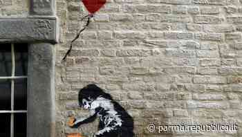 Parma, misterioso disegno sul palazzo che ospita la mostra dedicata a Banksy - La Repubblica
