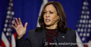 Kamala Harris, Who Has Accomplished Basically Nothing as VP, Says 'Nothing Easy' About Role