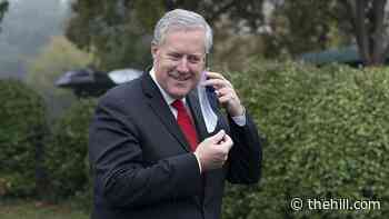 Meadows lawyer argues contempt referral would be contrary to law