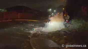 No jail time for drunk driver behind trail of destruction caught on dashcam - Globalnews.ca