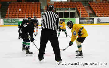 Trail minor hockey in need of referees – Castlegar News - Castlegar News