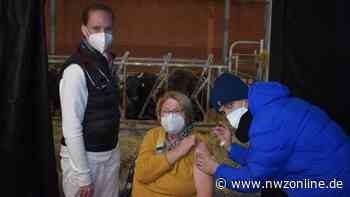 Ungewöhnliche Aktion in Garrel: Impfen im Kuhstall kommt gut an und wird fortgesetzt - Nordwest-Zeitung