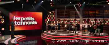 Les petits tannants: l'art de connaître son enfant