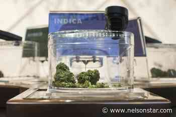Pot holes: Uneven distribution of cannabis stores a challenge for industry - Nelson Star