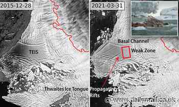 Ice shelf on Antarctic's doomsday glacier is CRACKING and is likely to break free within five years