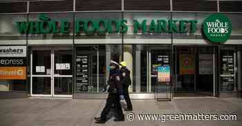 Why Do Grocery Stores Throw Out Food, Instead of Donating It? - Green Matters