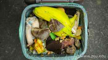 'Tis the season for food waste - Penn State News