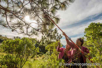 Conservation and food production must work in tandem, new study says - Mongabay.com