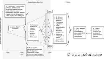 Food system development pathways for healthy, nature-positive and inclusive food systems - Nature.com