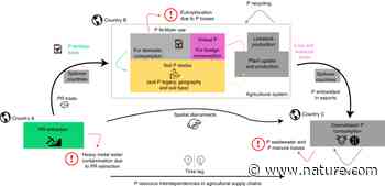 Food system resilience to phosphorus shortages on a telecoupled planet - Nature.com