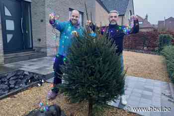 Kermiscomité zorgt voor honderd gratis kerstbomen in Hoelbeek - Het Belang van Limburg
