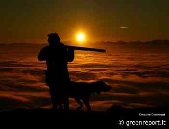 Caccia, siccità e incendi. Ispra: limitare l'attività venatoria per tutelare la fauna selvatica - Greenreport: economia ecologica e sviluppo sostenibile - Greenreport: economia ecologica e sviluppo sostenibile