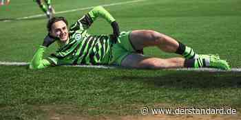 Veganes Essen, Holzstadion, Bambusleiberl: Der grünste Fußballklub der Welt - DER STANDARD