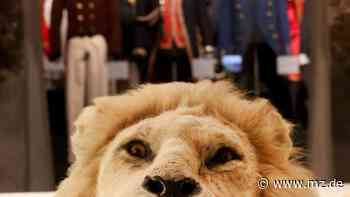 Das Ruhrgebiet als Adelshaus - Ausstellung in Essen - Mitteldeutsche Zeitung