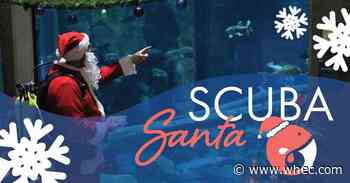 SCUBA Santa visits Great Lakes Aquarium