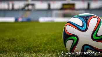 Maxi squalifica per l'allenatore del Silea: 36 giornate a Francesco Bellomo - TrevisoToday