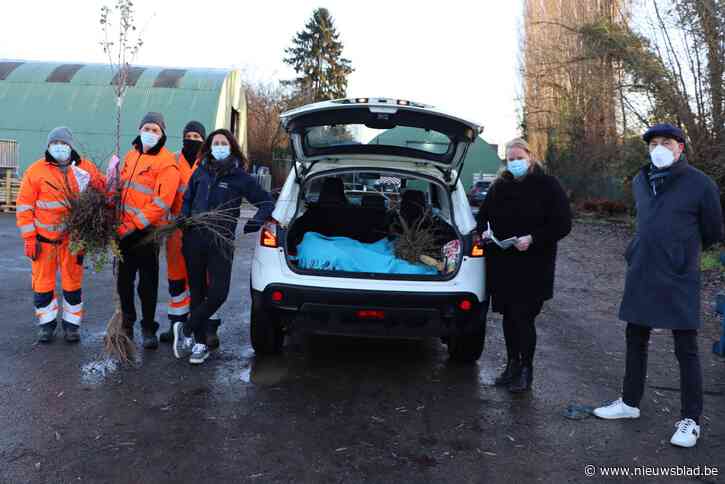 Tientallen gezinnen maken ruimte voor bomen