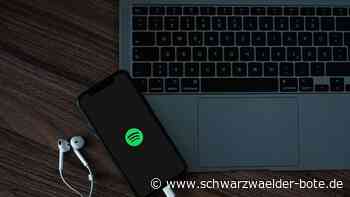Wrapped Jahresrückblick: Was streamt die Schwabo-Region auf Spotify?