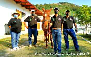 DIF Jiutepec proporciona equinoterapia - El Sol de Cuernavaca
