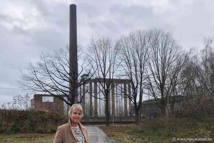 Vlaams parlementslid Joke Schauvliege pleit  om elektriciteitscentrale Langerbrugge veilige herbestemming te geven: “Havenhuis is  betere keuze dan filmstudio”