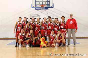 Le assenze non fermano Gallarate: Como battuta 43-32 - VareseSport